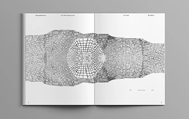 PATTERN画册设计